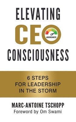 bokomslag Elevating CEO Consciousness