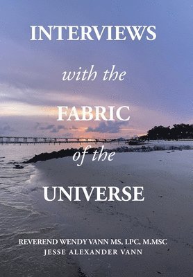 bokomslag Interviews with the Fabric of the Universe