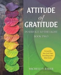 bokomslag Attitude of Gratitude