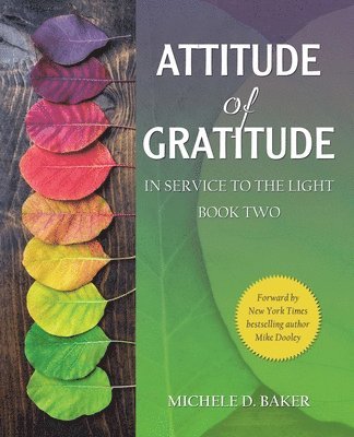 bokomslag Attitude of Gratitude