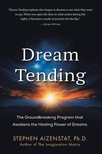 bokomslag Dream Tending