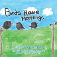 bokomslag Birds Have Meetings