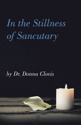 Donna Clovis, Dr. Donna Clovis - In the Stillness of Sancutary, Häftad