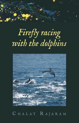 Firefly racing with the dolphins 1