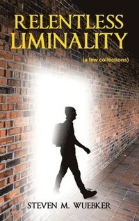 bokomslag Relentless Liminality