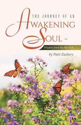 bokomslag Journey of an Awakening Soul - Wisdom from the Hot Tub