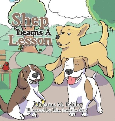Shep Learns A Lesson 1
