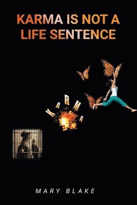 Mary Blake - Karma Is Not a Life Sentence, Häftad