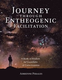 bokomslag Journey through Entheogenic Facilitation