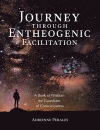 bokomslag Journey through Entheogenic Facilitation: A Book of Wisdom for Guardians of Consciousness