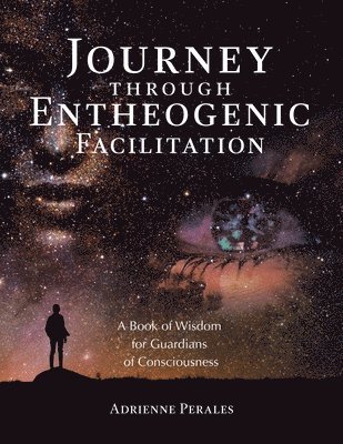 bokomslag Journey through Entheogenic Facilitation