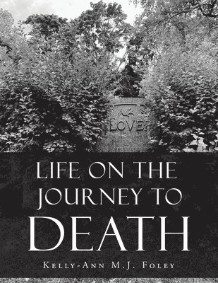 bokomslag Life On The Journey To Death
