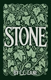 bokomslag Stone