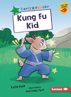 bokomslag Kung Fu Kid