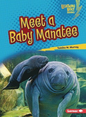 Meet a Baby Manatee 1
