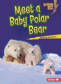 bokomslag Meet a Baby Polar Bear
