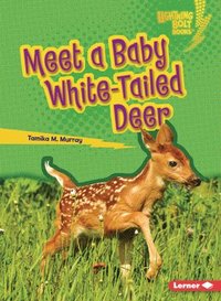 bokomslag Meet a Baby White-Tailed Deer