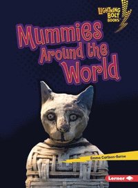 bokomslag Mummies Around the World