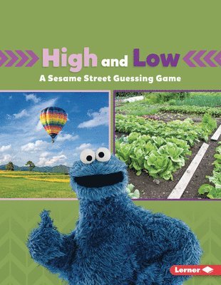 bokomslag High and Low: A Sesame Street (R) Guessing Game