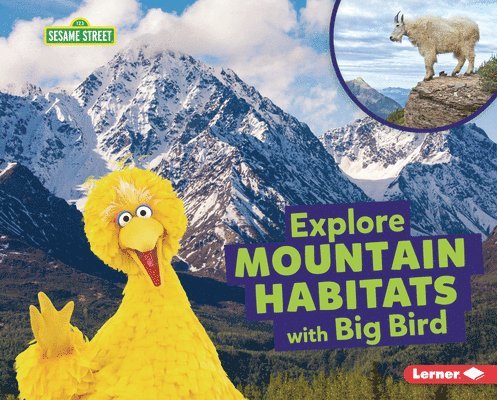 Explore Mountain Habitats with Big Bird 1