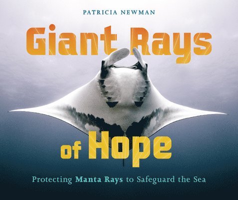 Giant Rays of Hope: Protecting Manta Rays to Safeguard the Sea 1