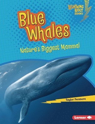 Blue Whales: Nature's Biggest Mammal 1