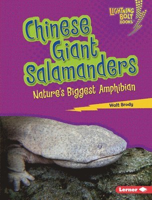 bokomslag Chinese Giant Salamanders