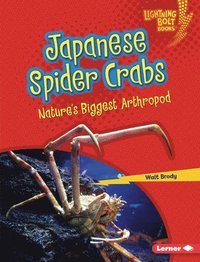 bokomslag Japanese Spider Crabs: Nature's Biggest Arthropod