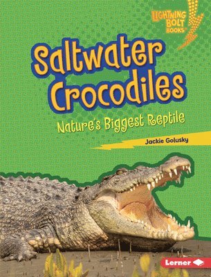 Saltwater Crocodiles: Nature's Biggest Reptile 1