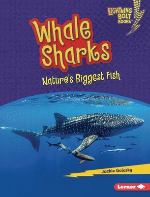 bokomslag Whale Sharks
