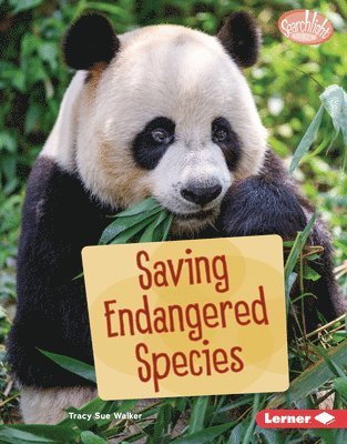 Saving Endangered Species 1