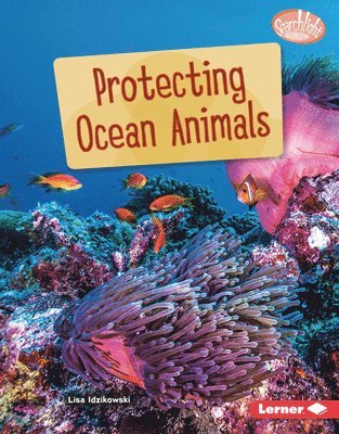 bokomslag Protecting Ocean Animals