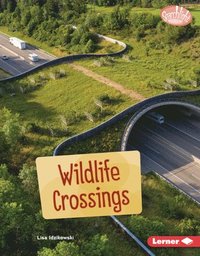 bokomslag Wildlife Crossings