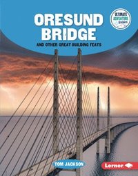 bokomslag Oresund Bridge and Other Great Building Feats