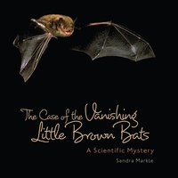 bokomslag The Case of the Vanishing Little Brown Bats: A Scientific Mystery