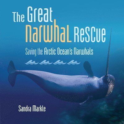 The Great Narwhal Rescue: Saving the Arctic Ocean's Narwhals