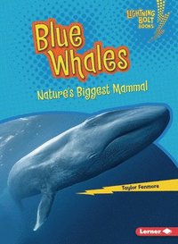 bokomslag Blue Whales: Nature's Biggest Mammal