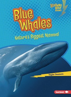 Blue Whales: Nature's Biggest Mammal 1