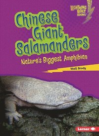 bokomslag Chinese Giant Salamanders