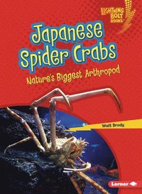bokomslag Japanese Spider Crabs: Nature's Biggest Arthropod
