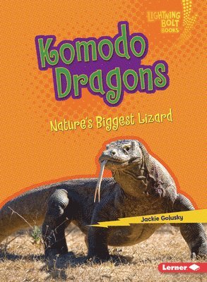 bokomslag Komodo Dragons