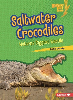 bokomslag Saltwater Crocodiles