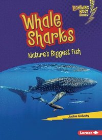 bokomslag Whale Sharks