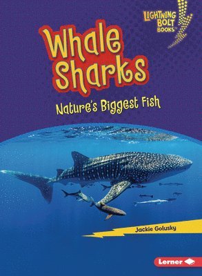 bokomslag Whale Sharks