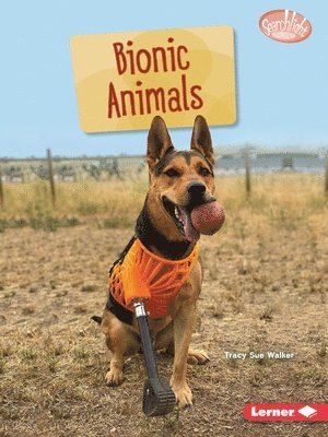 Bionic Animals 1