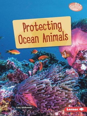 bokomslag Protecting Ocean Animals