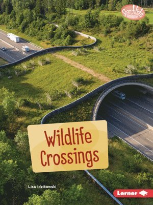 bokomslag Wildlife Crossings