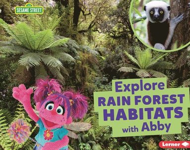 bokomslag Explore Rain Forest Habitats with Abby