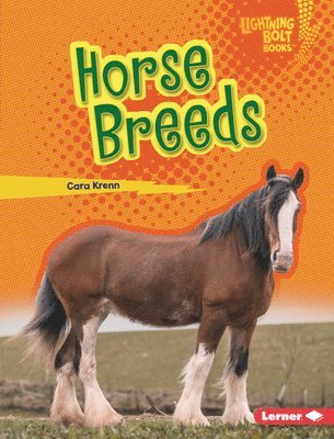 bokomslag Horse Breeds