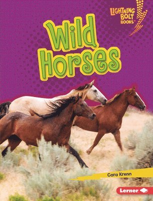 Wild Horses 1